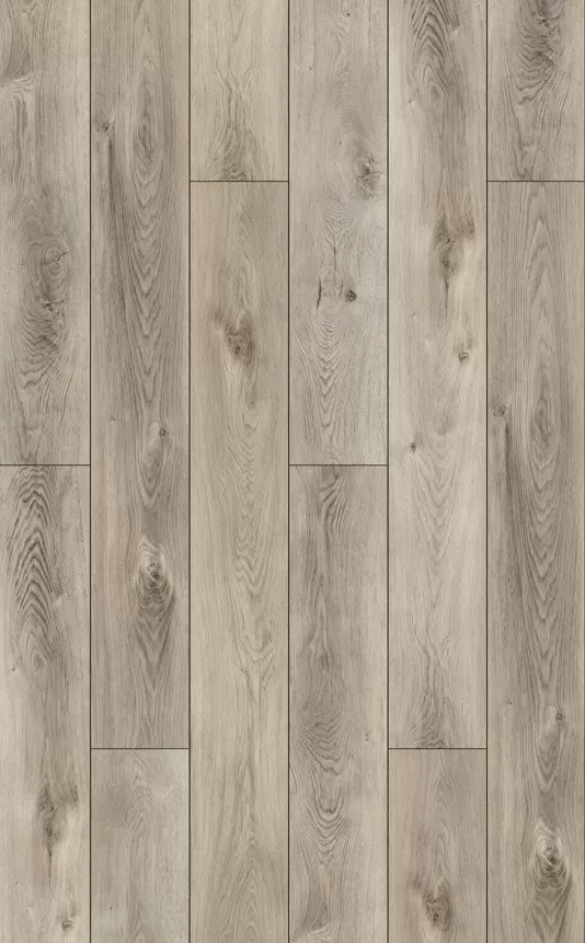 Дуб северный натуральный