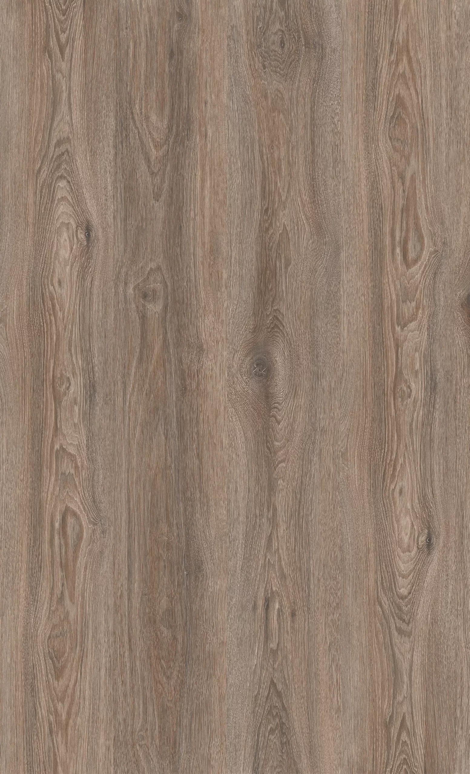 Дуб Гранитный