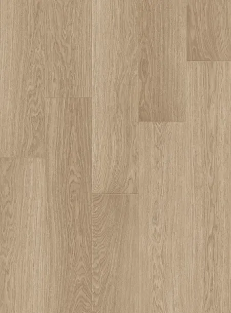 Дуб Солёный бриз