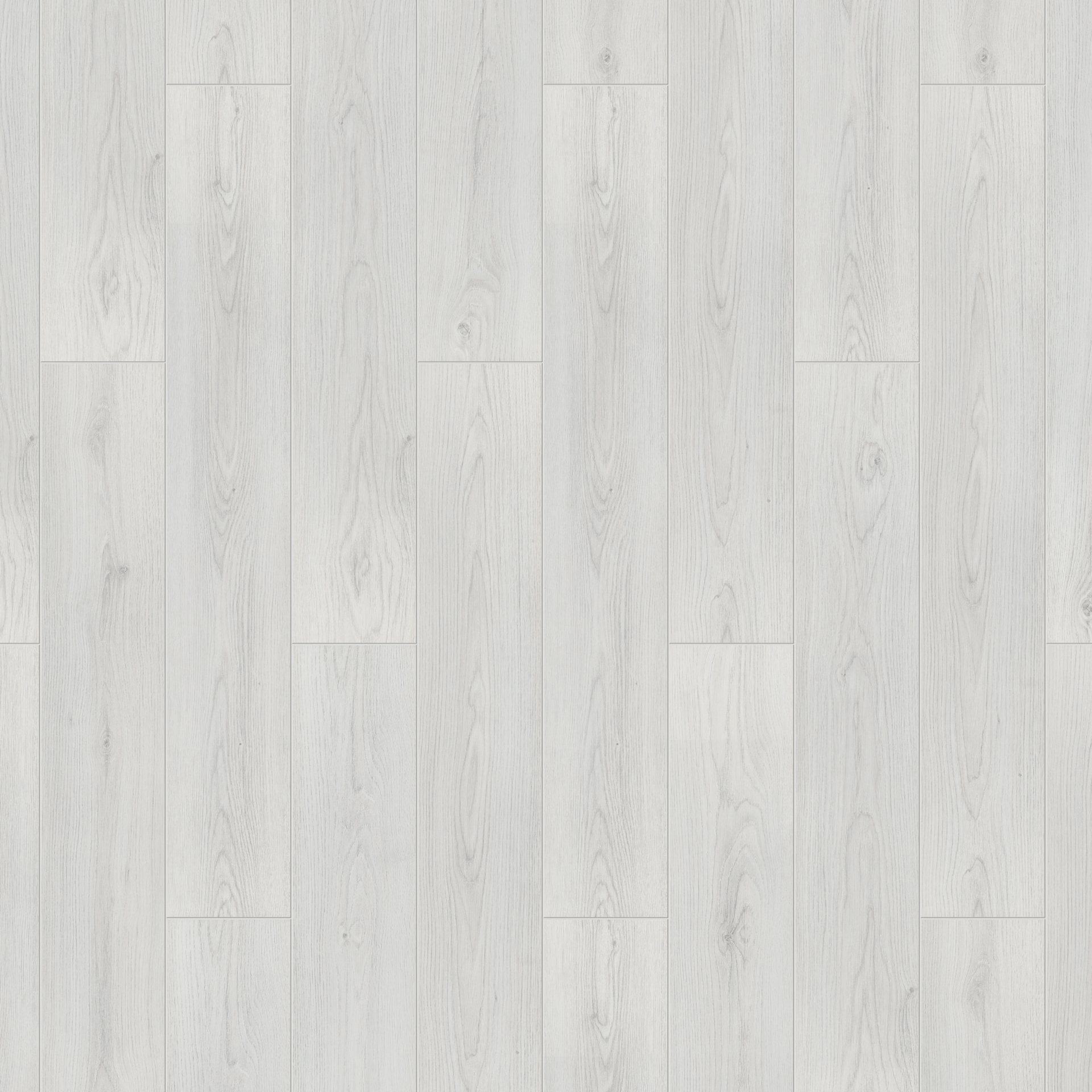 Vespucci / Веспуччи