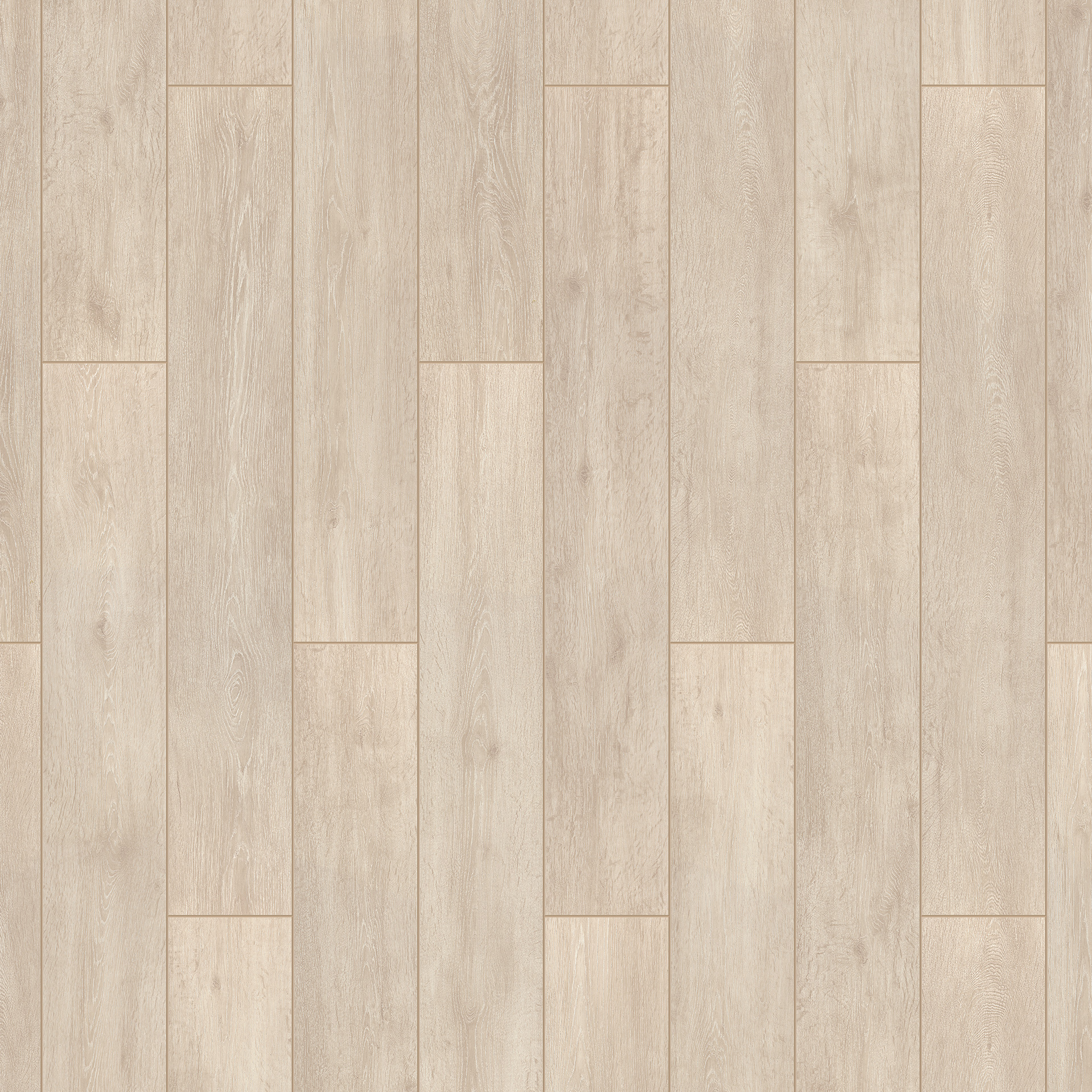 Shelley / Шелли